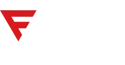 partners who work with MegaPari